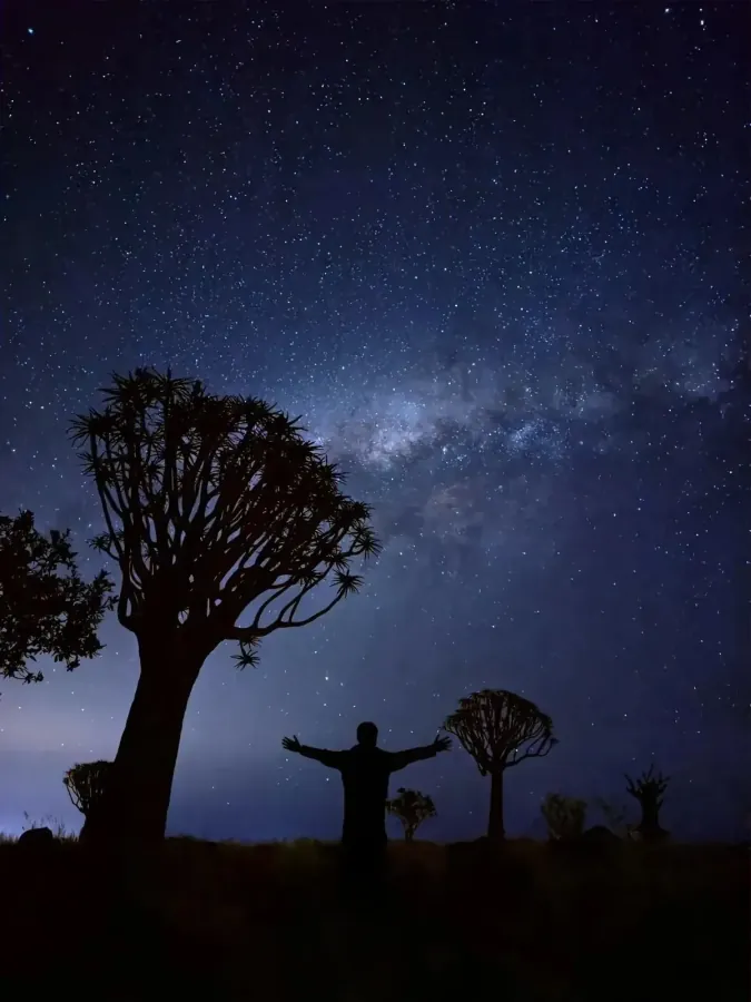 箭袋树下的纳米比亚星空